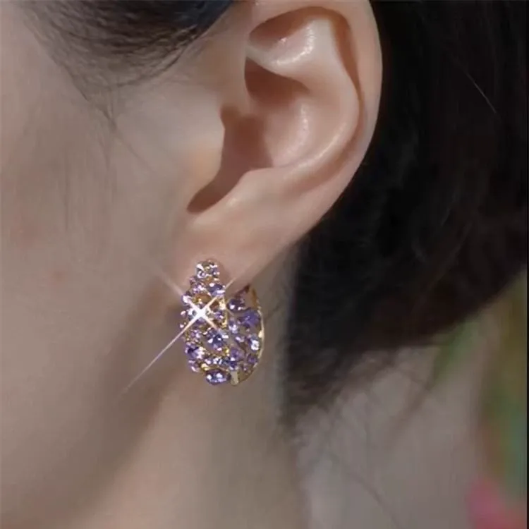 2025 New Arrival – Chic Purple Full-Diamond Hoop Earrings | Unique Indie Design – Exquisite & Versatile Statement Earrings