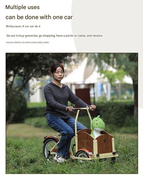 Internet celebrity foldable reverse riding cargo and pet bicycle adult and child reverse riding tricycle