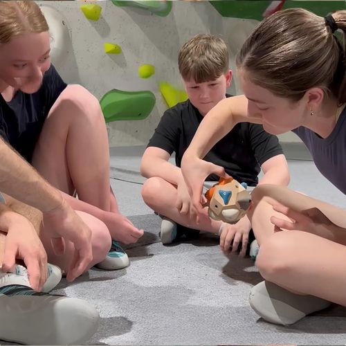 Grip Trainer  Climbing Grip Ball  Strength and Precision Training Ball