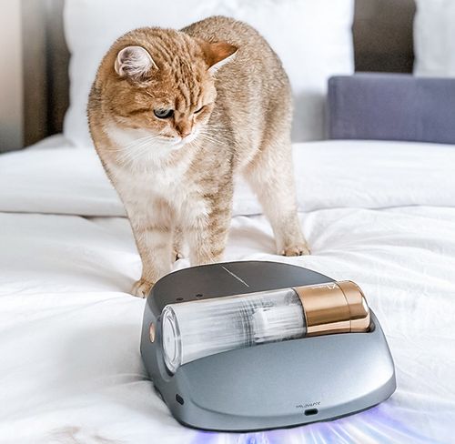 UV Bed Vacuum & Dust Mite Eliminator｜Cordless Handheld Auto Cleaner｜Eliminates 99.9% Mites & Pet Hair｜UVC Sterilization｜60min Long Battery Life