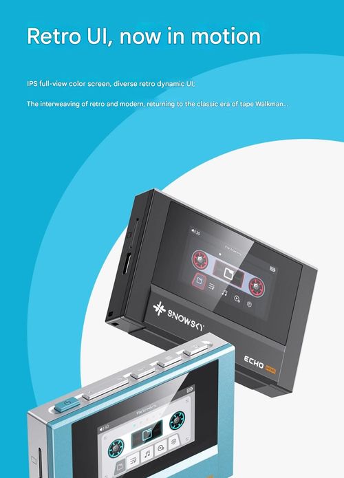 FiiO Snow Echo Mini - Portable Lossless Music Player  The Perfect On-The-Go Hi-Fi Companion!