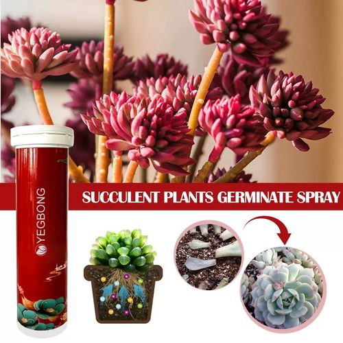 Home Gardening Slow-Release Nutritional Tablets Premium Fertilizers for Garden Plants