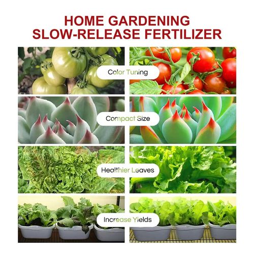 Home Gardening Slow-Release Nutritional Tablets Premium Fertilizers for Garden Plants