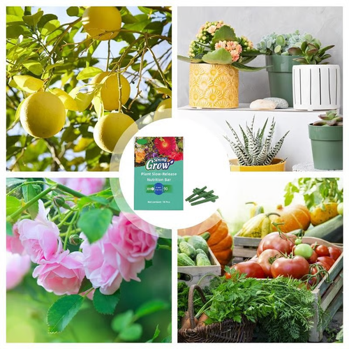 🔋Plant Stick Nutrition Bar & Unlock the secret to thriving plants🌱