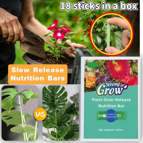 🔋Plant Stick Nutrition Bar & Unlock the secret to thriving plants🌱
