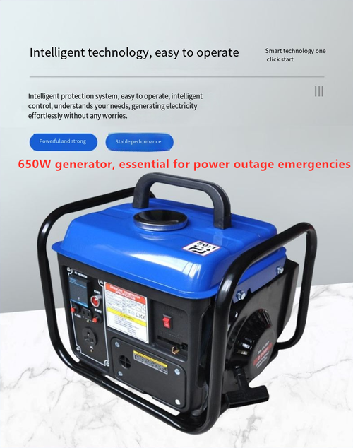 220V 650W Portable Gasoline Generator for Home Use