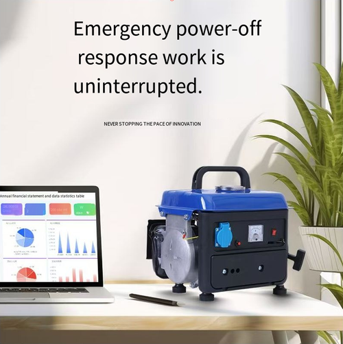 220V 650W Portable Gasoline Generator for Home Use