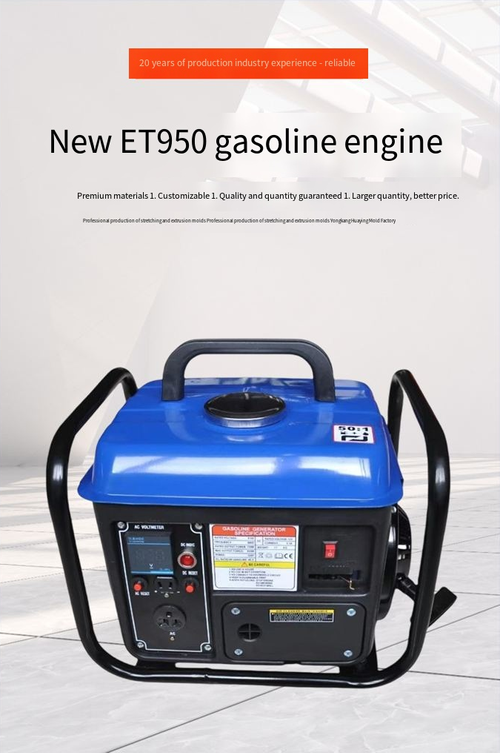 220V 650W Portable Gasoline Generator for Home Use
