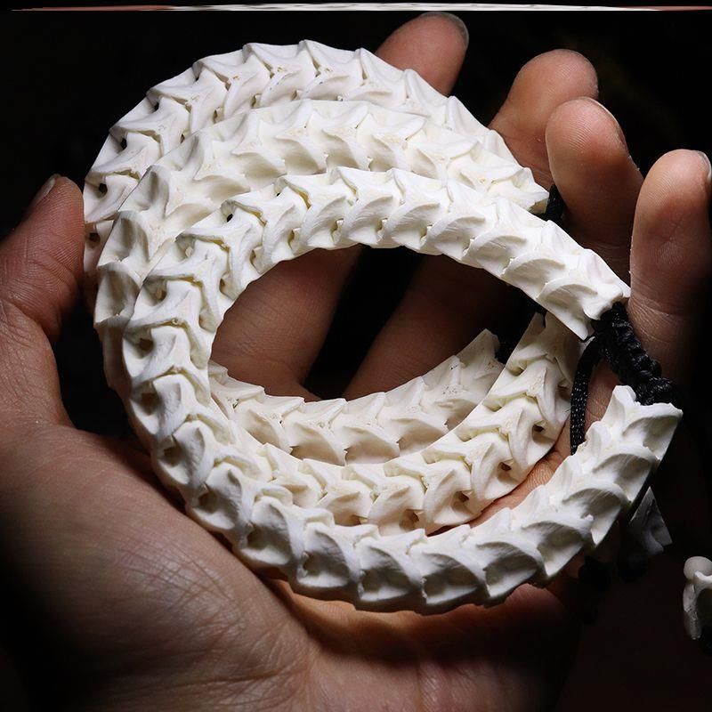 100% Natural Genuine Snake Spine Bone Skeleton Vertebrata Bracelet Jewelry