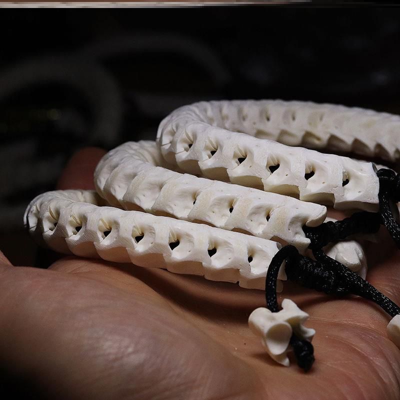 100% Natural Genuine Snake Spine Bone Skeleton Vertebrata Bracelet Jewelry