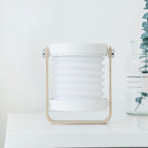 LED Night Light