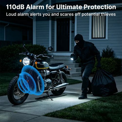 Disc Brake Alarm Lock