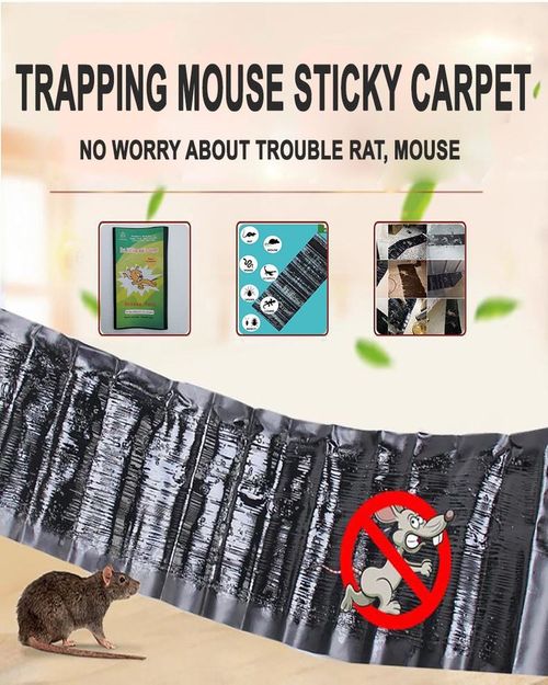 🐭🐭Super Strong Glue Traps – Extra Sticky, No Escape!