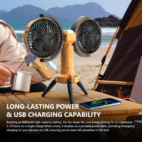 Fawoonu multi-functional dual-head fanv