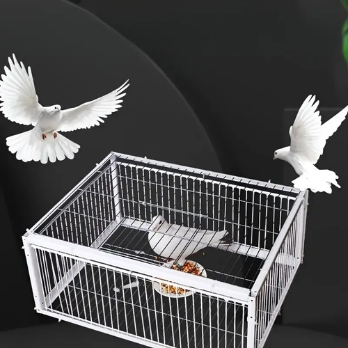 Essential for pigeon raising! This pigeon cage has a large space and good ventilation, making the pigeons live extremely comfortably.