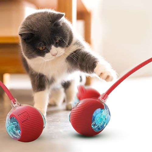 Smart Pet Interactive Ball