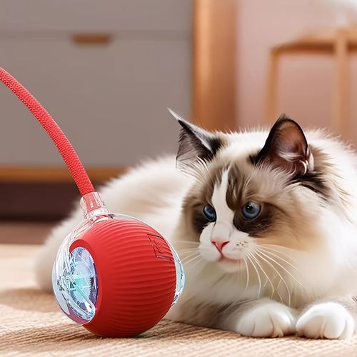 Smart Pet Interactive Ball
