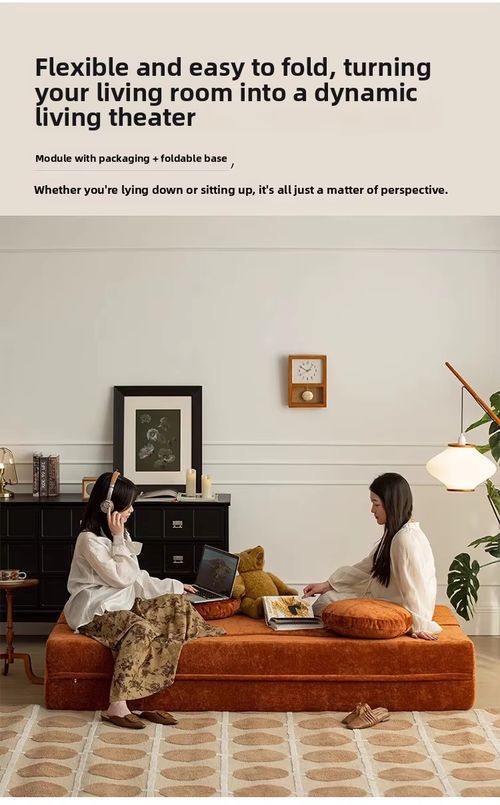 Vacuum Compressed Sofa Bed