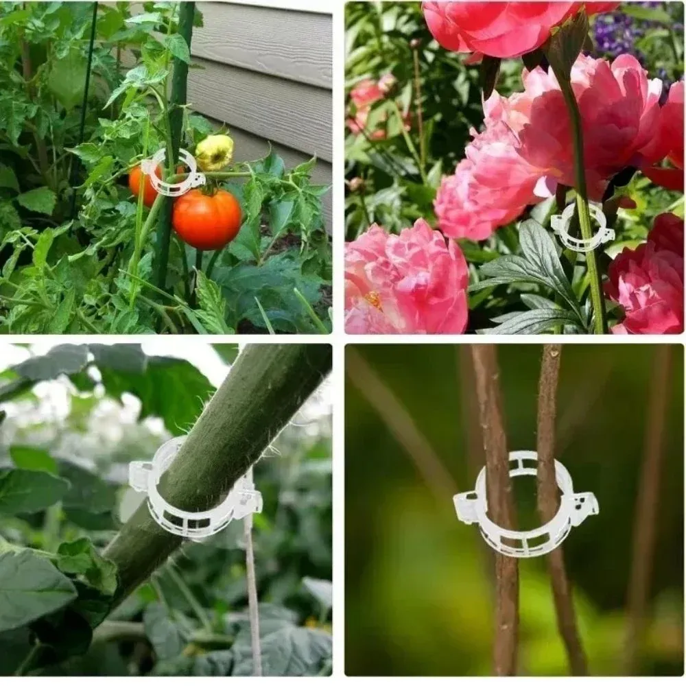 Reusable Plant Support Clips (100 clips)