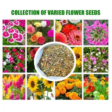 Pack Of Mix Flower Seeds