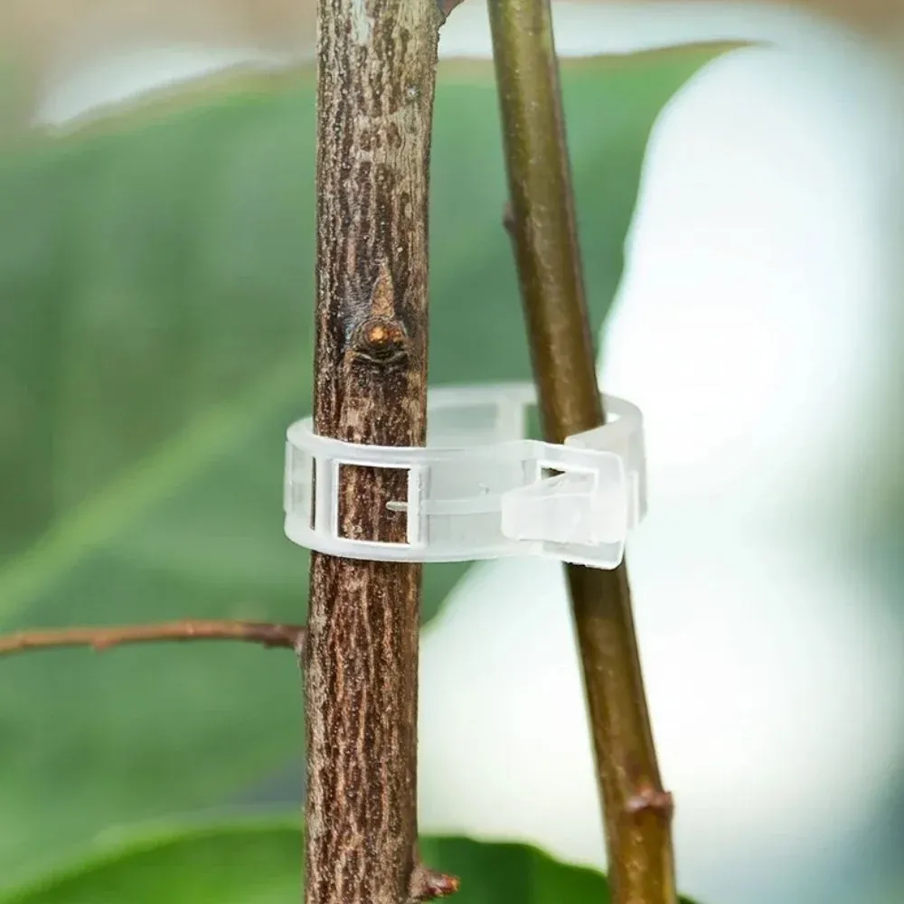Reusable Plant Support Clips (100 clips)