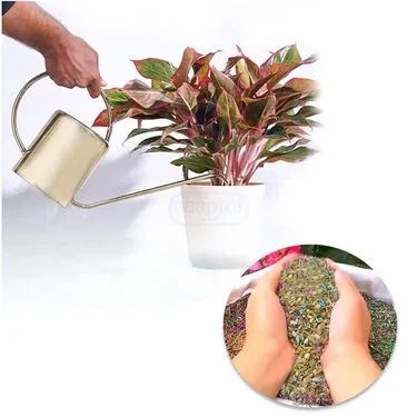 Pack Of Mix Flower Seeds