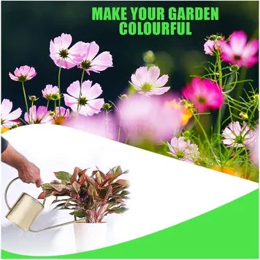 Pack Of Mix Flower Seeds
