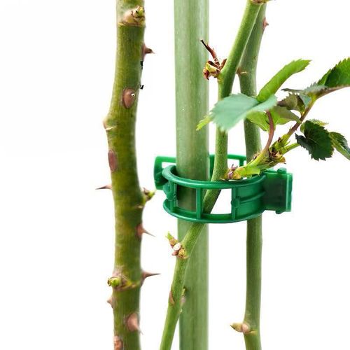 Reusable Plant Support Clips (100 clips)
