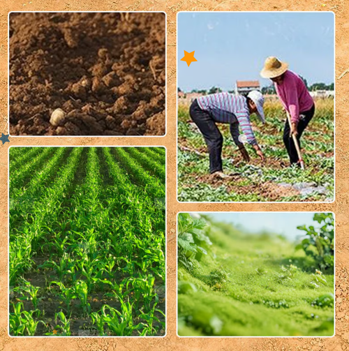 ⛏️✨Agricultural Nail Harrow