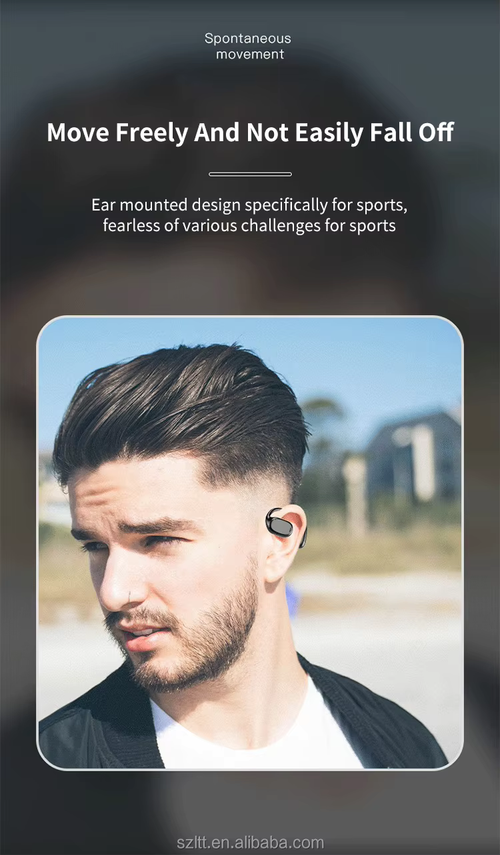 Wireless Headphones BT V5.3 Waterproof Bone Conduction Earhook Wireless Earbuds