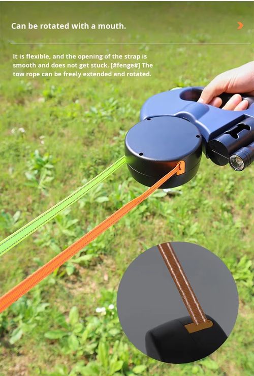 Dog leash