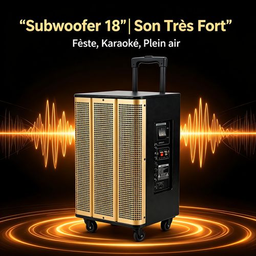 Enceinte mobile sur roulettes WEYON W180  Puissance maximale 18000W, Bluetooth, batterie rechargeable pour fêtes et événements