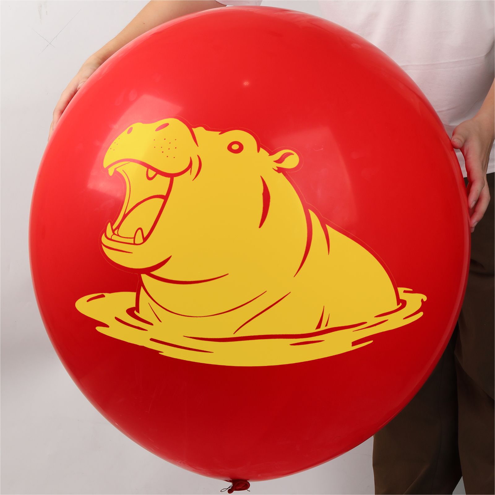 Balloon Decor Trends: What’s Shaping Modern Event Styling in 2025