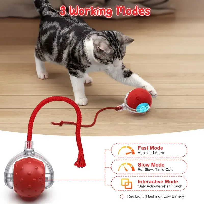 Cat&Small dog Toy