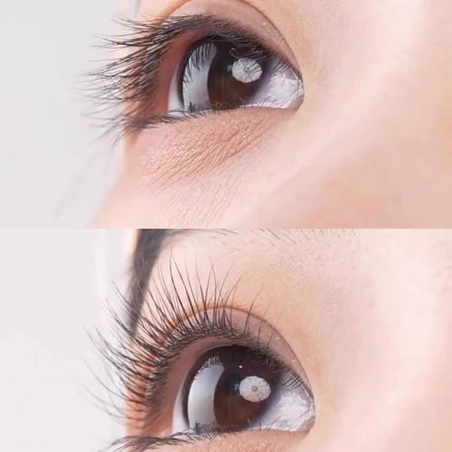 Waterproof Steel Tube Mascara