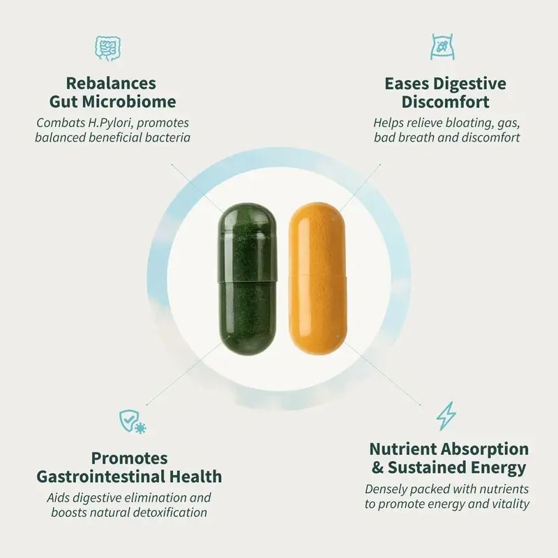 Gut Health Bundle - Snap Supplements - Gut Health + Spirulina & Chlorella - Natural Supplement Bundle Prebiotics Probiotics Dietary