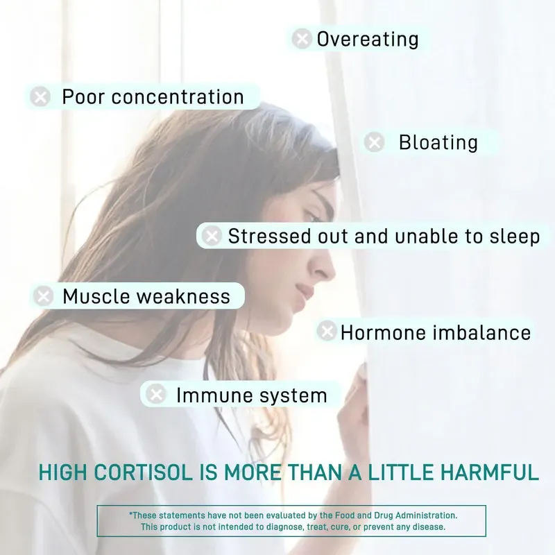 VEV 15 in 1 Magnesium Citrate & Glycinate Complex Capsules, Cortisol Support with Ashwagandha & L-Theanine, Edible Minerals Natural Dietary, 120 Vegan Capsules