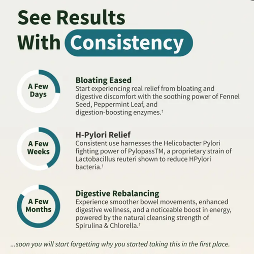 Gut Health Bundle - Snap Supplements - Gut Health + Spirulina & Chlorella - Natural Supplement Bundle Prebiotics Probiotics Dietary