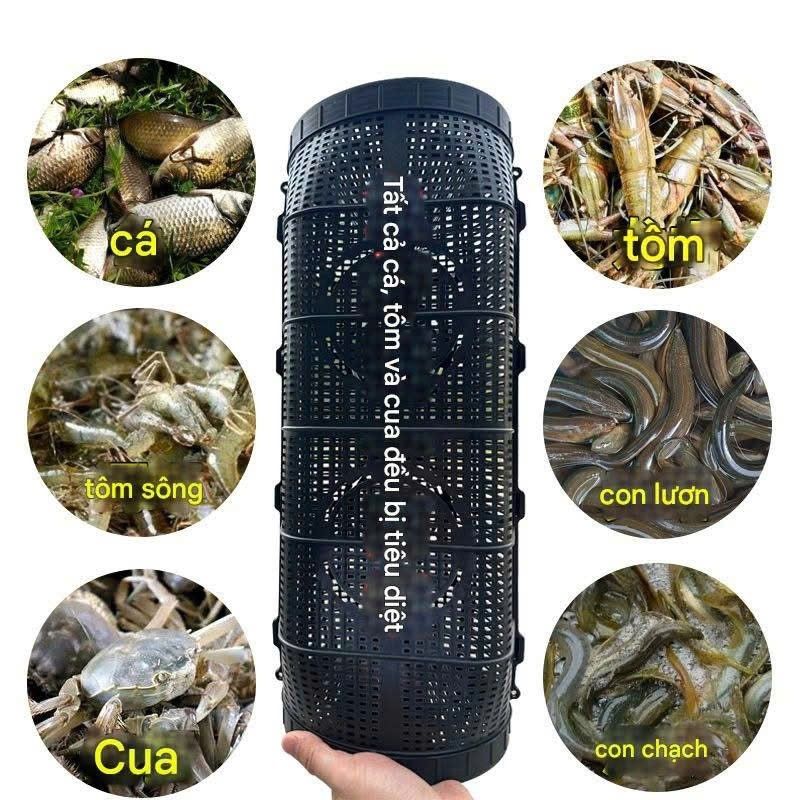Fishing Bait Trap Foldable Fish Minnow Crab Crayfish Crawdad Shrimp Net Trap Cast Net Dip Cage Collapsible Easy Use
