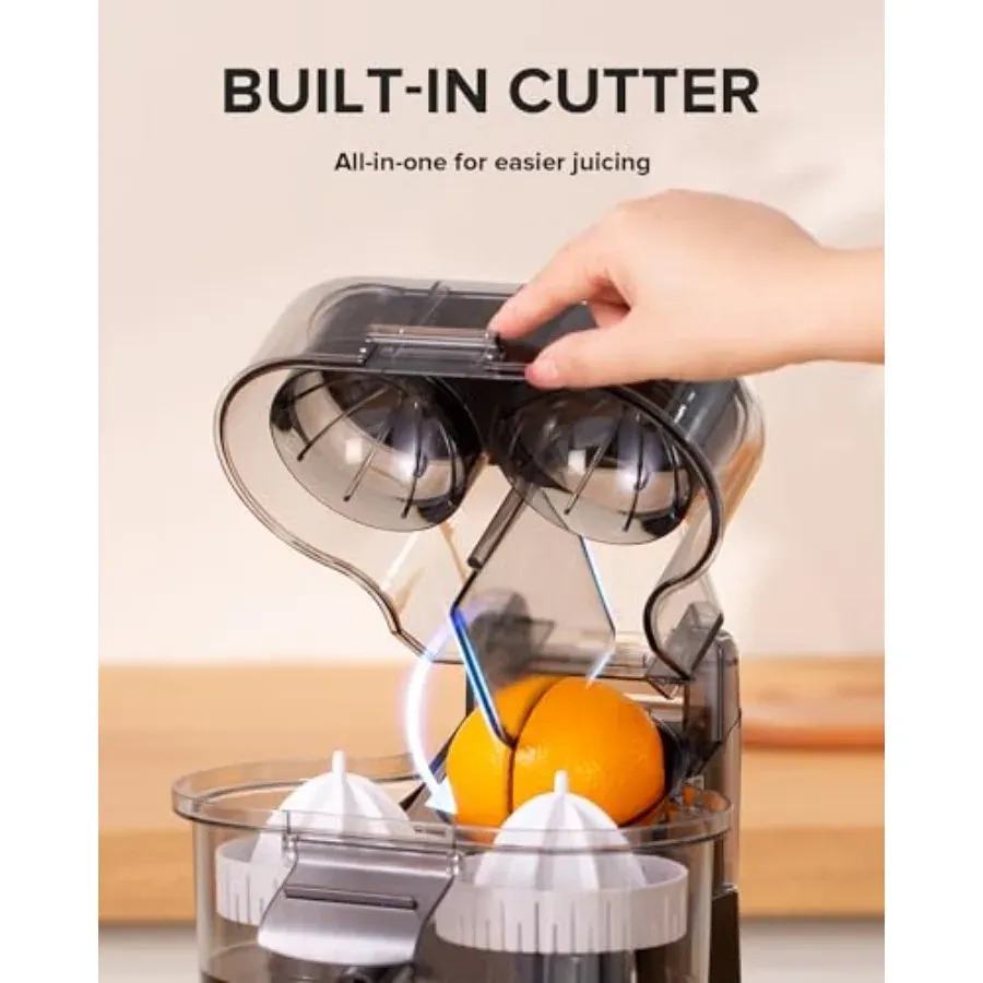 Dual-Head Automatic Juicer