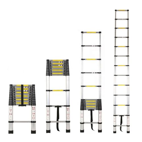 extendable ladder