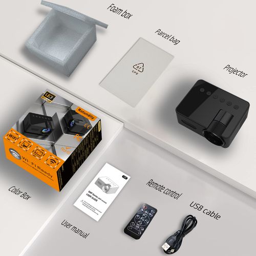 Mini projector with a universal stand