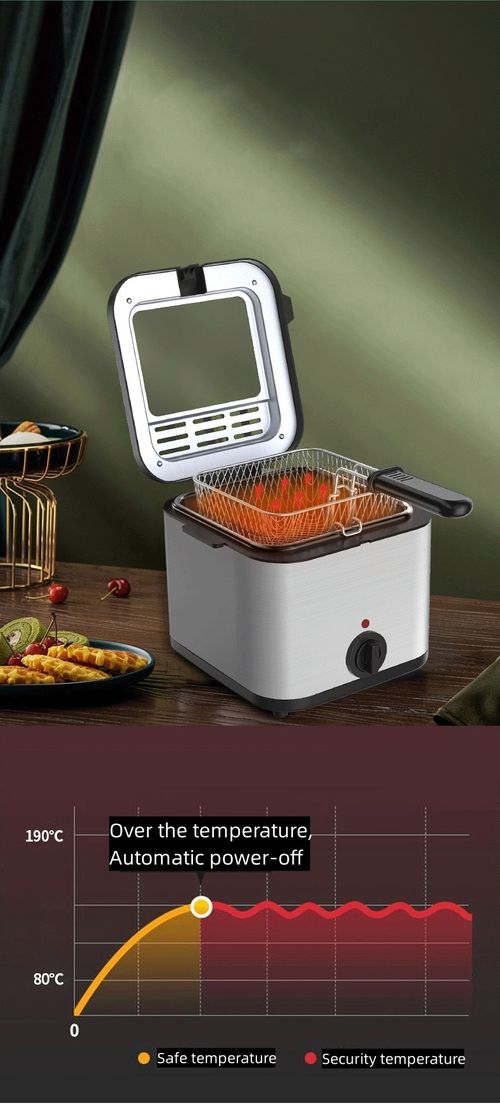 deep fryer