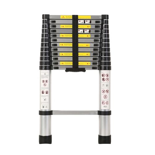 extendable ladder