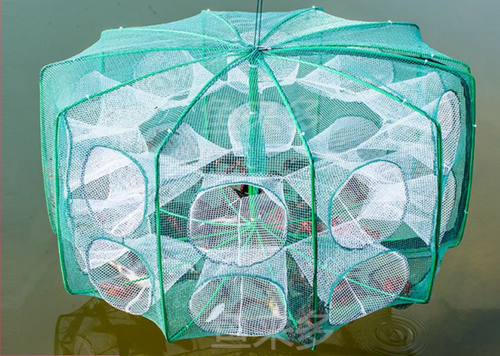 Fishing Bait Trap Foldable Fish Minnow Crab Crayfish Crawdad Shrimp Net Trap Cast Net Dip Cage Collapsible Easy Use