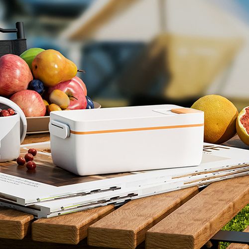 radio-heated lunch box