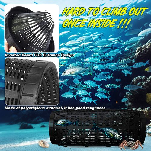 Fishing Bait Trap Foldable Fish Minnow Crab Crayfish Crawdad Shrimp Net Trap Cast Net Dip Cage Collapsible Easy Use
