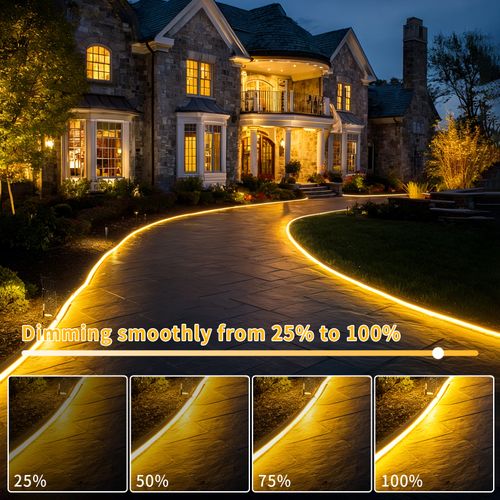 Solar 300 LED Lights