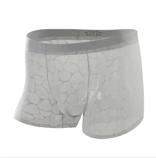 5 Points Men's Ultra-Thin Lace Mesh Boxer Briefs