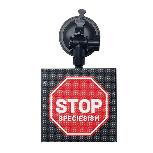 Full Color LED Screen & Create a One-of-a-Kind LED Display